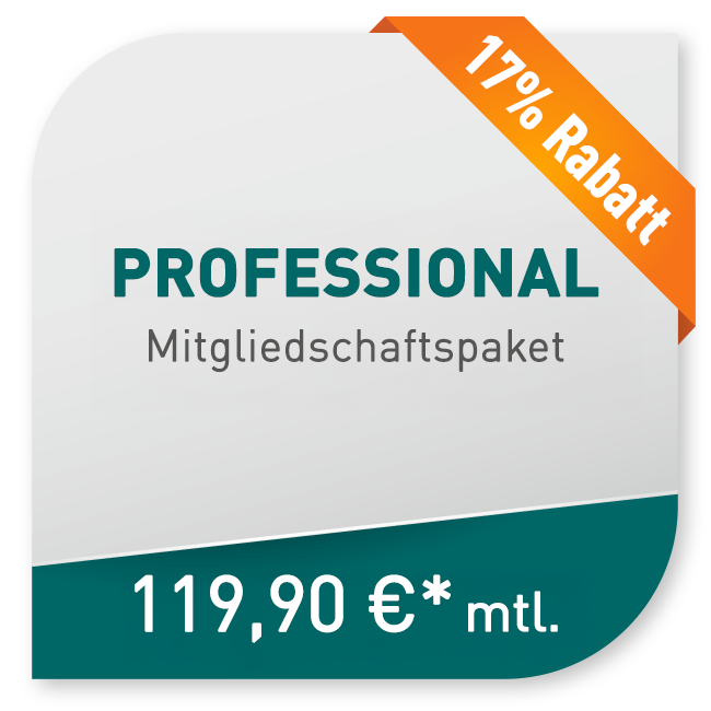 professional-17-rabatt