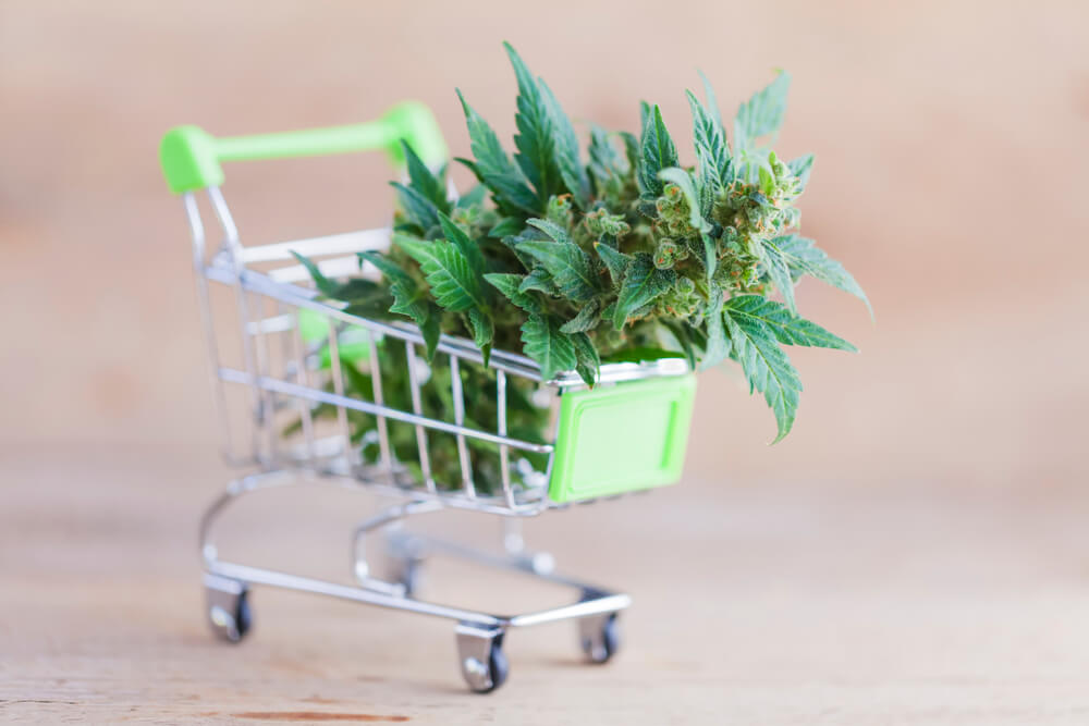 Cannabis Pflanze in Miniatur Einkaufswagen